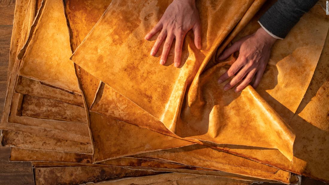 GM just took a stake in a startup that makes imitation leather out of mushrooms