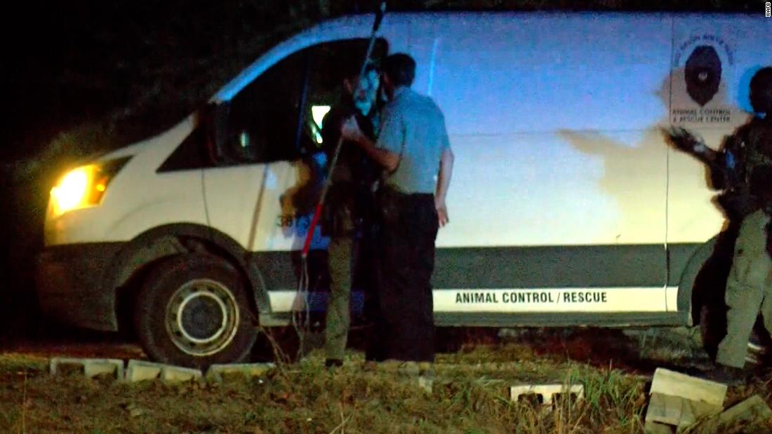 Dog owner faces charges following death of 7-year-old girl